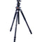 Vanguard VEO 3+ 263CB Carbon Fiber Tripod with VEO BH-160 Ball Head