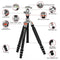 GEEKOTO CT32X Gravity 85 Carbon Fiber Tripod with Ball Head