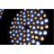 Dracast DRSPACE8000 Space Light Bicolor LED Panel