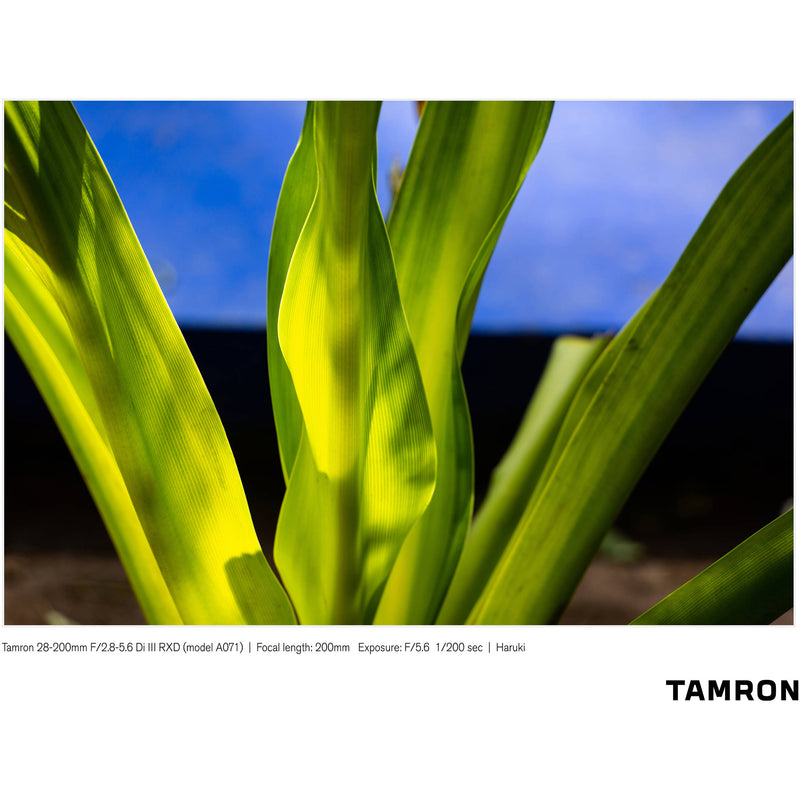 Tamron 28-200mm f/2.8-5.6 Di III RXD Lens for Sony E