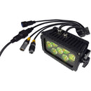 Blizzard Motif Sketch IP65 Outdoor Tri-Color LED Wash Fixture (Black)