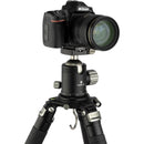 Robus RTH-1050 Triple Action Ball Head