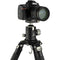 Robus RTH-1050 Triple Action Ball Head