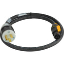 Laird Digital Cinema Neutrik TRUE1 powerCon to NEMA5-15P 20A Power Input AC Cable (25')
