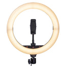 Raya Bendie-Brite Folding USB Bi-Color LED Ring Light (10")