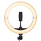 Raya Bendie-Brite Folding USB Bi-Color LED Ring Light (10")