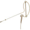 Samson SE50x Omnidirectional Earset Microphone for Wireless Transmitters (Beige)