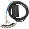Pro Co Sound StageMaster Snake 12 Channel Stagebox to Fanout (8 x Send + 4 x XLR Male Return) (150')