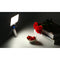 LituFoto LED Bi-Color Video Light (Red)