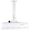 Dotworkz Extendable Tubular Ceiling Mount with Stainless Steel Pan Tilt Knuckle