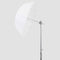 Godox Transparent Parabolic Umbrella (34")