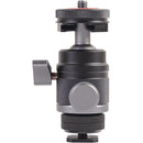DigitalFoto Solution Limited Mini Ball Head with Cold Shoe Mount