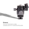 DigitalFoto Solution Limited Mini Ball Head with Cold Shoe Mount