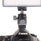 DigitalFoto Solution Limited Mini Ball Head with Cold Shoe Mount