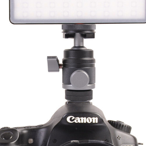 DigitalFoto Solution Limited Mini Ball Head with Cold Shoe Mount