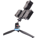 DigitalFoto Solution Limited Mini Ball Head with Cold Shoe Mount