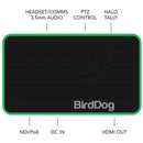 BirdDog Flex 4K Out Full NDI Decoder
