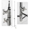 Lowel 40&quot; C-Stand Sliding Leg Kit with 2.5&quot; Grip Head & 40&quot; Grip Arm (Chrome)