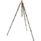 3 Legged Thing Legends Bucky Carbon Fiber Tripod Leg Set (Bronze)