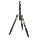 3 Legged Thing Legends Bucky Carbon Fiber Tripod Leg Set (Gray)