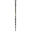 3 Legged Thing Legends Bucky Carbon Fiber Tripod Leg Set (Gray)