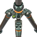 3 Legged Thing Legends Bucky Carbon Fiber Tripod Leg Set (Gray)