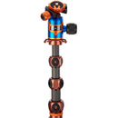 3 Legged Thing Legends Bucky Carbon Fiber Tripod with AirHed VU Ball Head Set (Bronze / Blue)