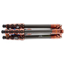 3 Legged Thing Legends Bucky Carbon Fiber Tripod with AirHed VU Ball Head Set (Bronze / Blue)