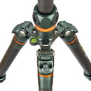 3 Legged Thing Legends Bucky Carbon Fiber Tripod with AirHed VU Ball Head Set (Gray)