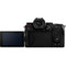 Panasonic Lumix DC-S5 Mirrorless Digital Camera with 20-60mm Lens