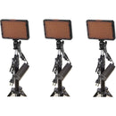 Bescor WAFFLE 176 Bulb LED 3-Light Battery and AC Adapter Kit