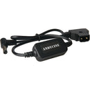 ANDYCINE D-Tap to 2-Pin DC Power Cable with Intelligent Circuit Protection (20")