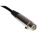 On-Stage MC12-10U' Microphone to USB Cable (10')