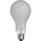 Osram ECT 3200K Photoflood Lamp (500W/120V, 24-Pack)