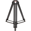 Proaim 10' Wave-2 Jib with Tripod & Tripod Dolly Kit