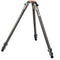 3 Legged Thing Legends Tommy 3-Section Carbon Fiber Hybrid Video/Photo Tripod