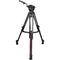 Cartoni Focus 10 Fluid Head Kit with 2-Stage Aluminum SmartStop SDS Tripod (100mm)
