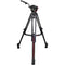 Cartoni Focus 10 Fluid Head Kit with 2-Stage Carbon Fiber SmartStop SDS Tripod (100mm)