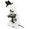 Celestron CB1000CF 40-1000x Compound Binocular Microscope