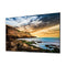 Samsung QET 75" Class 4K UHD Commercial LED Display