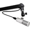 Earthworks Icon Pro Cardioid Condenser XLR Microphone (Stainless Steel)