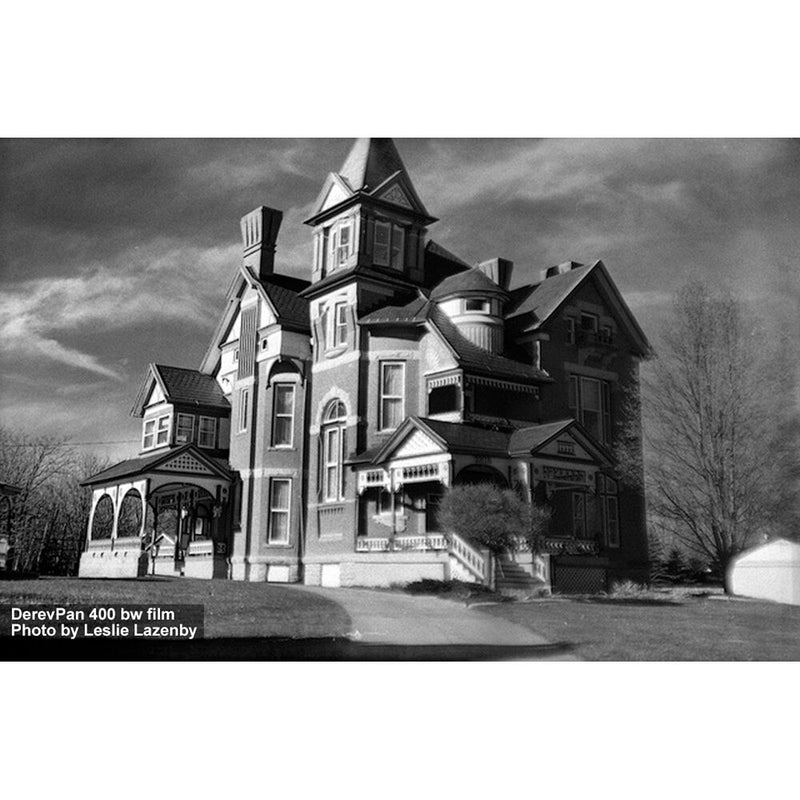 Film Photography Project Derev Pan 400 Black and White Negative Film (35mm Roll Film, 36 Exposures)