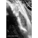 Film Photography Project X2 Eastman Double-X Black and White Negative Film (35mm Roll Film, 24 Exposures)