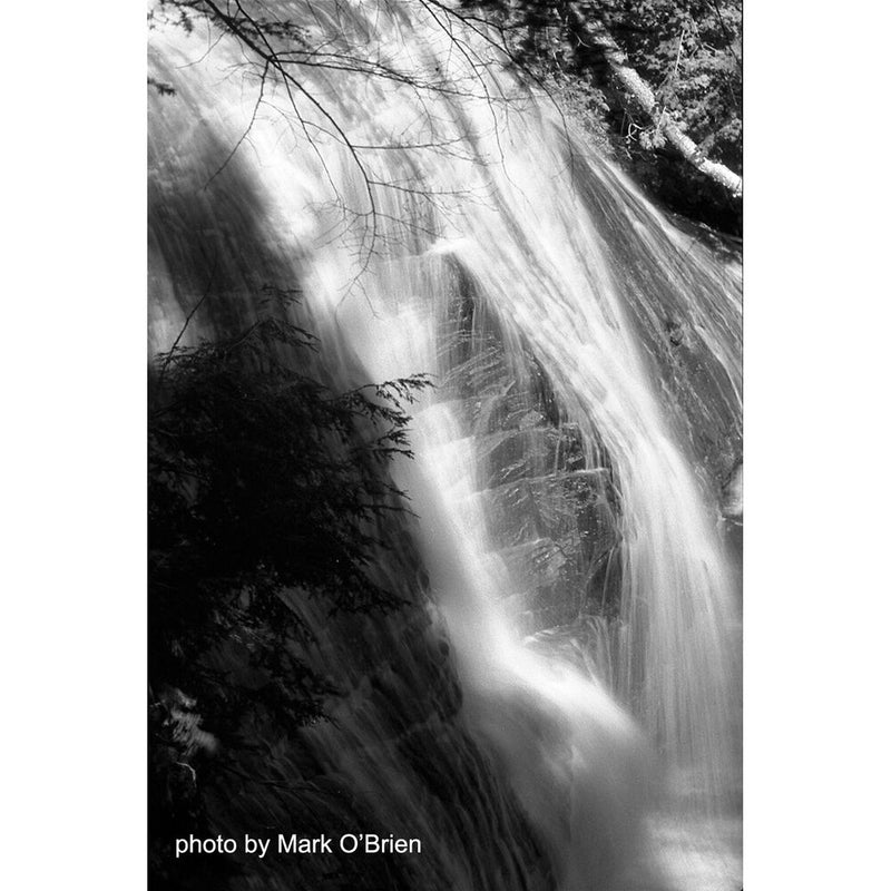 Film Photography Project X2 Eastman Double-X Black and White Negative Film (35mm Roll Film, 24 Exposures)