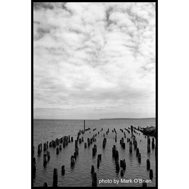 Film Photography Project X2 Eastman Double-X Black and White Negative Film (35mm Roll Film, 24 Exposures)