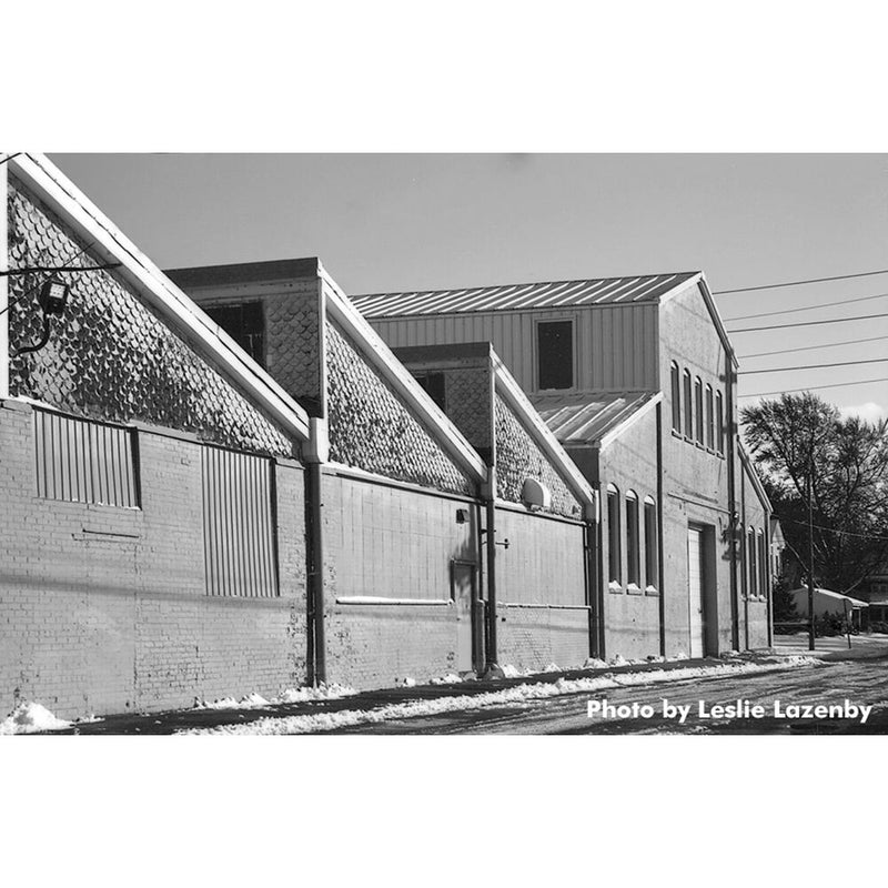 Film Photography Project Sonic 25 High Contrast Black and White Negative Film (35mm Roll Film, 24 Exposures)