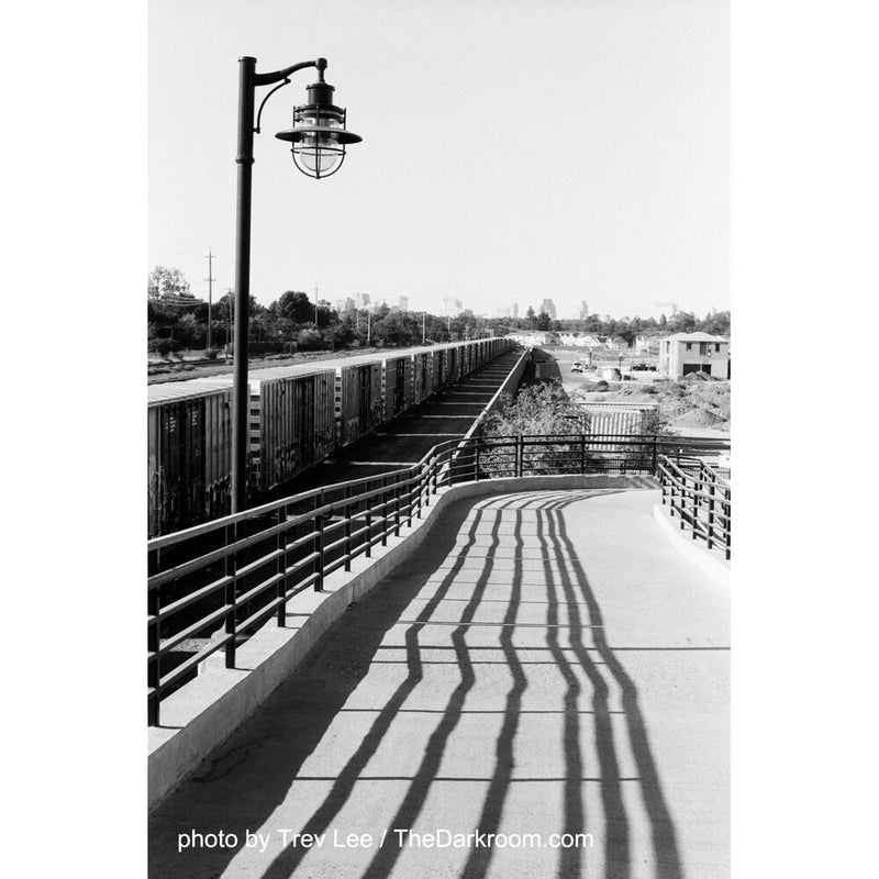 Film Photography Project Wolfman 35 Black and White Negative Film (35mm Roll Film, 24 Exposures)