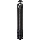 Really Right Stuff Ascend-14 Compact Travel Carbon Fiber Tripod with Integrated Ball Head