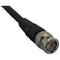 Genustech RG-59U BNC Male-to-Male Premium Composite Video Cable (100')