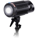 FotodioX Pro Warrior Daylight 5600K Light Kit